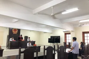 Thí điểm luật sư công: Bước đi cần thiết để tăng cường bảo vệ lợi ích công