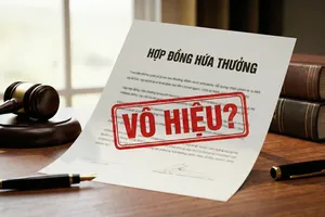 Tranh luận vụ tòa tuyên hợp đồng hứa thưởng giữa luật sư và khách hàng vô hiệu