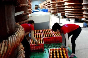 Đề nghị đánh giá rủi ro kim loại nặng trong thực phẩm