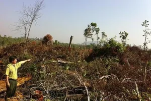 2 cựu Phó Chủ tịch tỉnh Đăk Nông bị cảnh cáo