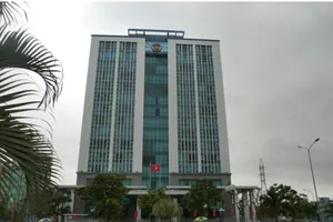 Hải quan Hải Phòng xử lý mỗi tháng hơn 600 vụ vi phạm pháp luật