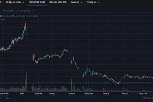 Bị hủy niêm yết, số phận cổ phiếu FLC ra sao?