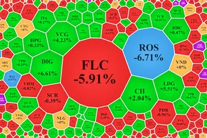 Cổ phiếu FLC bị đình chỉ giao dịch đến bao giờ?