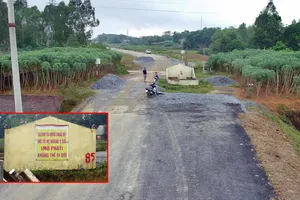 Ngôi mộ cổ chắn ngang tuyến đường 1.900 tỷ đồng đang làm