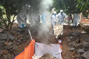 Tiêu hủy đàn heo bị nhiễm dịch tả châu Phi của hộ gia đình bà Nguyễn Thị Làn, thị xã Đông Triều, Quảng Ninh. Ảnh: Phạm Tăng