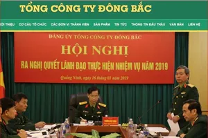 Sau khi sắp xếp các công ty con, Tổng công ty Đông Bắc, Bộ Quốc phòng cuối năm nay triển khai cổ phần hóa công ty mẹ.