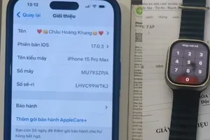 Bị lừa hàng trăm triệu đồng vì tin tài khoản 'phụ nữ đơn thân'. Ảnh: CA.