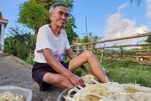 Ông cụ ngồi thái thân chuối bên cạnh con mương nước đen ngòm, bốc mùi hôi thối từ trại heo. Ảnh: MINH TRƯỜNG.