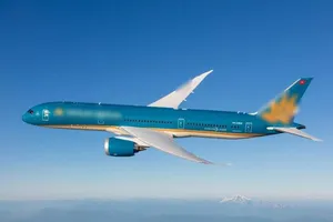 Máy bay không thể hạ cánh do có chó chạy vào đường băng sân bay Đà Nẵng. Ảnh: MT.