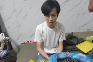 Chủ quán pub mua cần sa về bán lại bị bắt