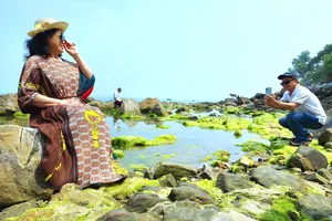 Mùa rêu xanh, du khách nườm nượp check in rạn Nam Ô