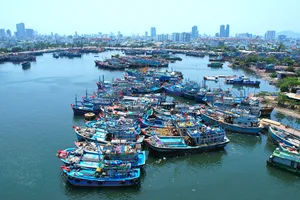 Bộ NN&PTNT làm việc với Đà Nẵng về việc chống khai thác hải sản bất hợp pháp