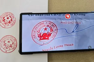 Đà Nẵng: Nghi dùng con dấu giả xin giấy phép phòng cháy chữa cháy