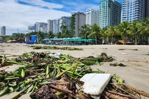 Rác dạt vào biển Đà Nẵng sau bão số 4, huy động 100 công nhân đi dọn