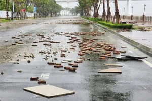 Bão Trà Mi gây sóng mạnh đánh bật gạch trên vỉa hè, thân cây to bị xé gãy
