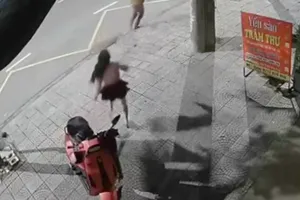 Một phụ nữ chạy theo kẻ giật điện thoại để nhìn mặt rồi báo công an