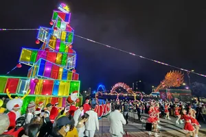 Cây thông ánh sáng lung linh bên bờ sông Hàn