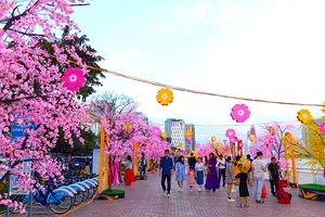 Đường hoa xuân 18 tỉ đồng ở Đà Nẵng sẽ kéo dài thêm 3 tháng