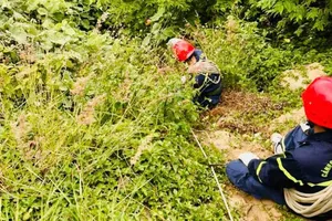 Phát hiện thi thể du khách nước ngoài dưới vực sâu ở bán đảo Sơn Trà