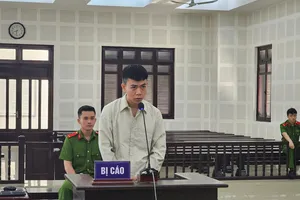 Xét xử kẻ cầm đầu chi nhánh tại Đà Nẵng trong đường dây lừa đảo của Mr. Pips 