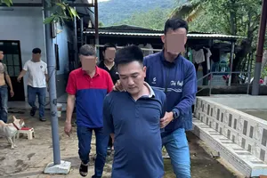 Xoá tụ điểm đá gà liên tỉnh ở Đà Nẵng