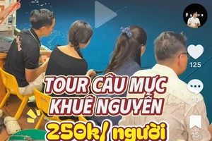 Đà Nẵng: Dịch vụ câu mực trái phép nhưng TikToker vẫn kêu gọi trải nghiệm