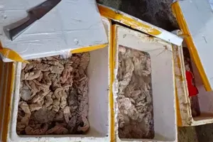 Cơ sở kinh doanh hàng tấn lòng bò, lòng heo trôi nổi ở Đà Nẵng bị xử phạt