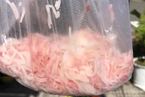 Đà Nẵng: Giám định mẫu bún đổi màu đỏ sau khi mua về