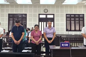 Cựu giám đốc Cảng vụ hàng hải Quảng Nam bị cáo buộc chỉ đạo thuộc cấp lập khống hồ sơ