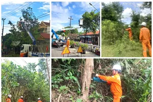 Tổng công ty Điện lực miền Trung khẩn trương ứng phó khẩn cấp bão số 5