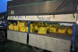 Phát hiện nhóm buôn khí cười quy mô 50 tỉ đồng