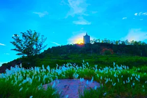 Nhiều điểm tham quan trên núi Sơn Trà mở lại sau 3 năm bị cấm