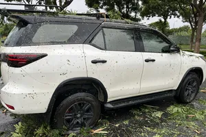 Giải cứu thành công 6 người ở Đà Nẵng bị mắc kẹt trong ô tô vì cây đổ