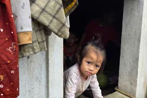 Ông bà tất tưởi bế 6 đứa cháu ngoại lên gác trốn lũ