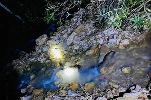 Người dân phát hoảng khi mở cửa, thấy con trăn lớn 'ghé thăm' nhà mình