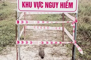 Phát hiện một số đầu đạn nằm lẫn trong đất sản xuất