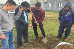 Lấy mẫu phân tích vụ nhiều giun bò lên mặt đất rồi chết khô ở Quảng Trị