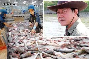 Ông Dương Ngọc Minh - Chủ tịch HĐQT Công ty cổ phần Hùng Vương.