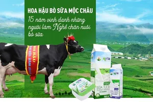  Vì sao 'hoa hậu bò sữa Mộc Châu' từ chối Vinamilk ? 