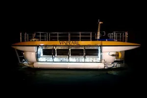 Ông Phạm Nhật Vượng đã bỏ hàng triệu USD mua tàu ngầm