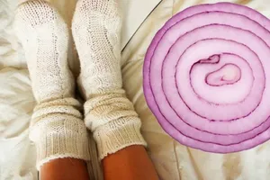 Hành tây có thể hút hết vi khuẩn có hại tấn công cơ thể