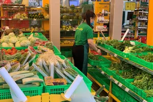 Bách Hóa Xanh đang kinh doanh ra sao?