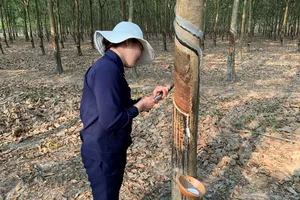 Một tập đoàn kinh doanh 'vàng trắng' lãi cả ngàn tỉ