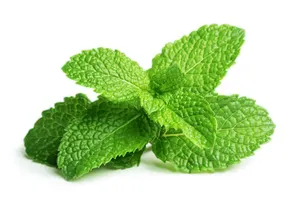 Vì sao ăn lá cây khiến bạn khoẻ hơn?