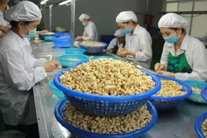 Nhiều công ty Việt suýt mất 1.000 tỉ đồng vì bị lừa 