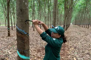 Một ông lớn muốn kiếm hàng trăm ngàn tỉ từ 'vàng trắng'