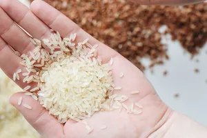 Giá gạo tăng cao nhất trong 12 năm qua