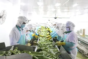 Bán nha đam mạnh, một công ty nâng lãi gấp đôi