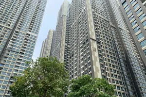 Khi vua tôm, đại gia bán ô tô sang kinh doanh bất động sản