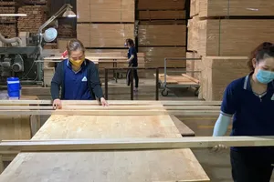 'Cuộc chiến' mới của nhà xuất khẩu Việt khi ra biển lớn